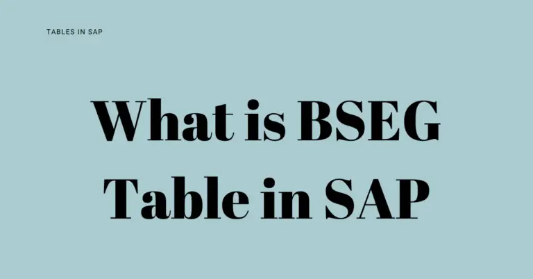 What is BSEG Table in SAP