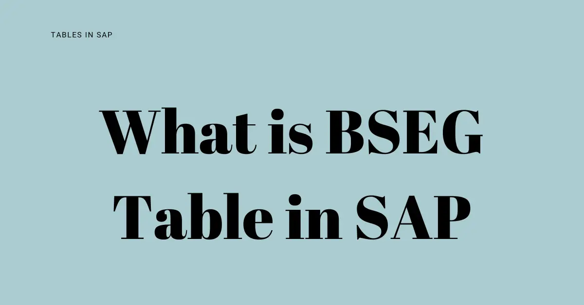 What is BSEG Table in SAP